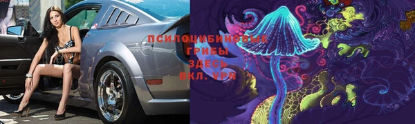 прущая мука Аркадак